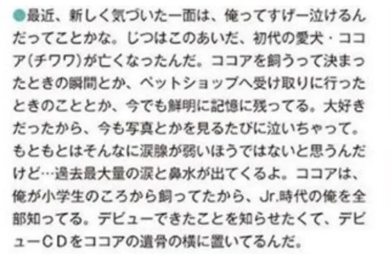 目黒蓮　愛犬　ペット　ココア　なくなった