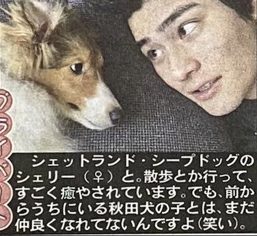 森本慎太郎　愛犬　ペット　シェリー　ちぃ　犬種　名前